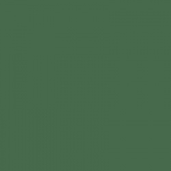 BS381-267 Deep Chrome Green Aerosol Paint